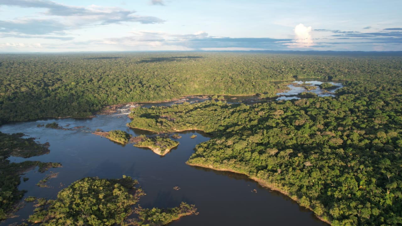 Prestação de Serviço de Conservação Ambiental no Brasil